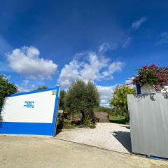 A Janela das Palmeiras