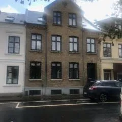 Stor lejlighed i smørhullet af Odense centrum