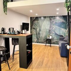 Luxury apartment - La fenice