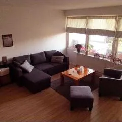 Sunny, spacious, and quiet apt
