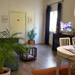 Parkvillan Sunshine Living Condo