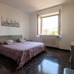 Chiwi's Home 2