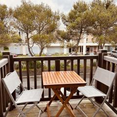 Charmant Duplex Au Coeur Des Minime