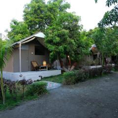 Amber Resort