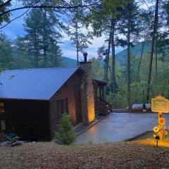 The cozy Lazy Laurel with year-round mountain views, hot tub, fire pit