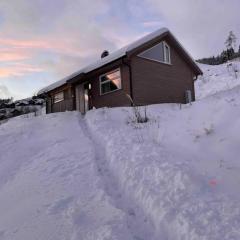 Fjellsporthytta nr. 4