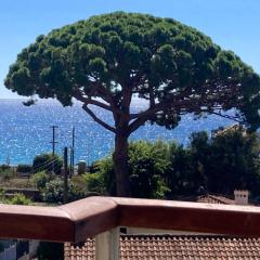 Cannes Beach Access, Private Room in Shared 3-Bedroom Apartment, Private Bathroom, Living Room with Sea View Suite Parentale salle de bain privée accès plages & vue mer du salon dans appartement partagé chez l'habitant