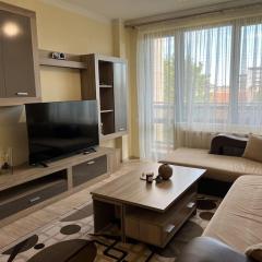 Cozy apartment - free parking