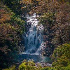 OYO Hotel Rincon De Texolo