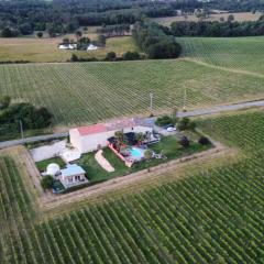 Bubulles dans les vignes