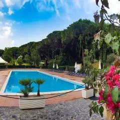 Villa immersed in the pine forest in Sardinia