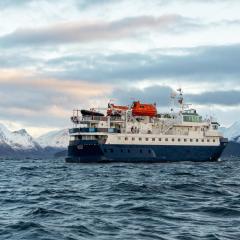 24hrs Northern Lights & Whale Watching Cruise