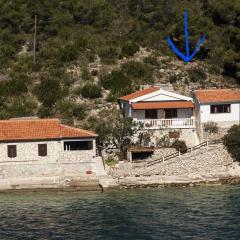 House Vinkli