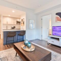Luxury Apt Near Kendall Square