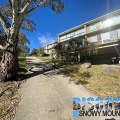 Alpine Mountain View 3 - Jindabyne