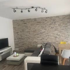 Grand T2 tout équipé centre-ville, spacieux et lumineux, 1 chambre, 1 à 5 pers, climatisation, wifi, balcons, parking privé