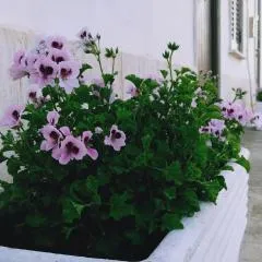 Casa Maria Bartolomeo