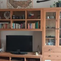 u Míši v Brdech