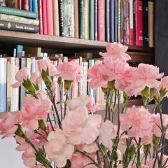 Room in Apartment - Spectacular Room With Balcony In The City Centre