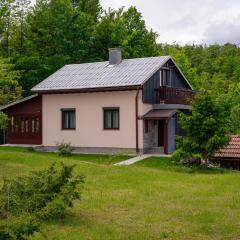 House Polane in the Forest, 45 km from Seaside