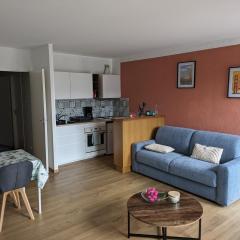 Appartement cosy - centre-ville