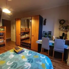 Chambre chez l'habitante "Bambou"