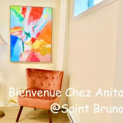 Basement 2-bedroom apartment near National Park and Montréal