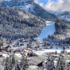 studio station des carroz d'arraches