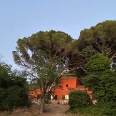 Casa en campo para desconectar en Madrid con Animales