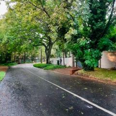 Peaceful Sandton Escape