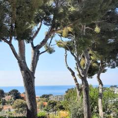 Maison bord de Mer au calme sous les Pins