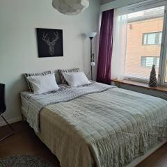 Jaakonkatu City Apartment