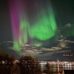 Romslig tilbaketrukket leilighet i Tromsø - Gratis parkering