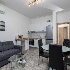 Apartment Villa Andelka with Swimming Pool