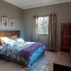 Wildevy Accommodation