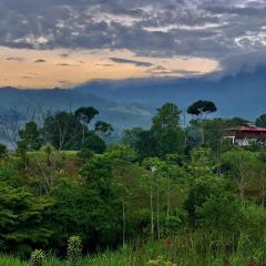 Casa Quetzal: Jungle Retreat