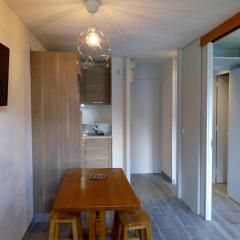 Appart cosy avec accès pistes et commerces, balcon, parking, animaux ok! - FR-1-355-24