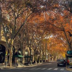 Departamento en la mejor ubicación de Mendoza