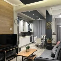 Central 4 Modern Apartment with free parking