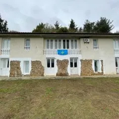 Hotel El Nuevo Semellon Aceptamos Mascotas