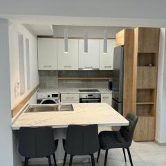 Luxurious Modern Villa