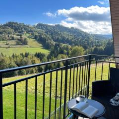Apartamenty Spacerowa 33