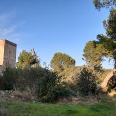 Sur les pas des templiers