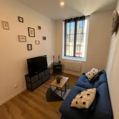 Appartement confortable, neuf en centre ville
