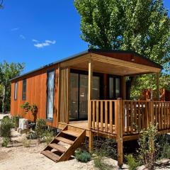 Best Holiday Port Grimaud