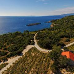 Holiday home in vineyard paradise Dingač Pelješac