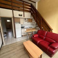 Appartement Quais de Grenoble