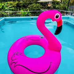 La Casa de los Pajaros