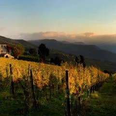 Agriturismo Fattoria Lavacchio