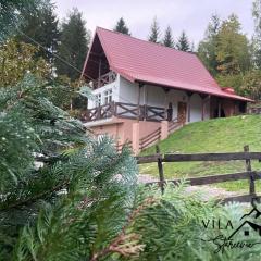 Vila Starcevic